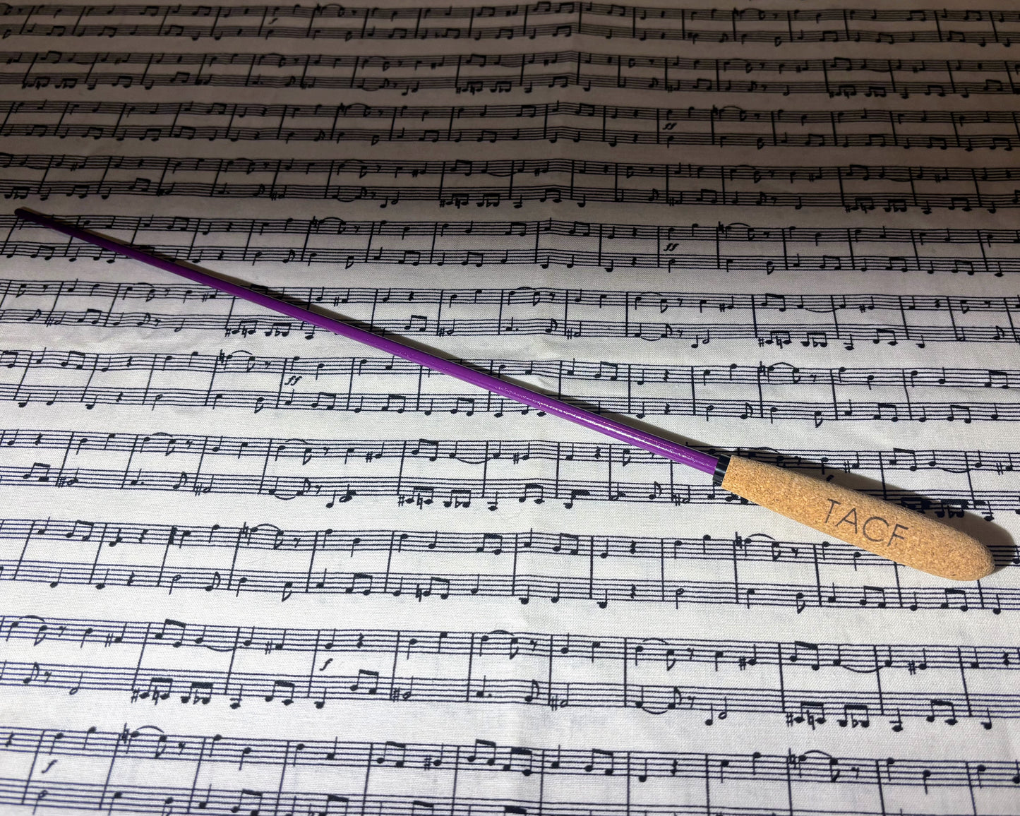Limited Edition #PurpleBaton: Advancing Women Conductors